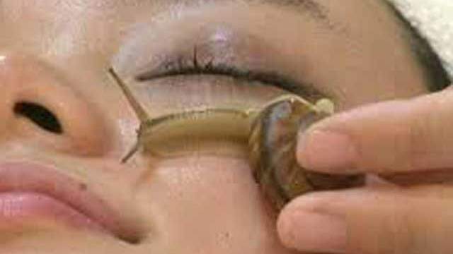 How To: New Snail Beauty Treatment